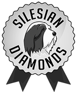 Silesian Diamonds - Bearded Collie Kennel